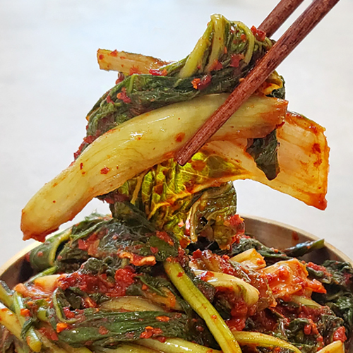 시원 새콤한 수제 전라도 열무 얼갈이 김치 1kg