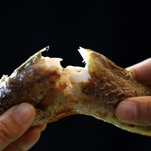 영광 법성포 참조기 굴비 700g내외 10미 