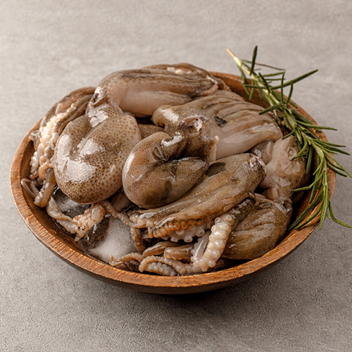 국내산 서해안 자연산 생물 활 쭈꾸미 1kg